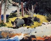 Bermuda Settlers - 温斯洛·荷默